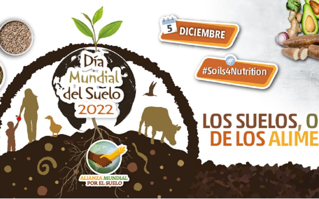 El 5 de diciembre se celebra el Día Mundial del Suelo