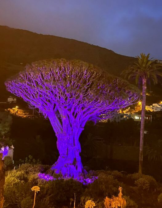 Anoche nuestro Drago Milenario se iluminó se color violeta con motivo del Día Mundial del Lupus.